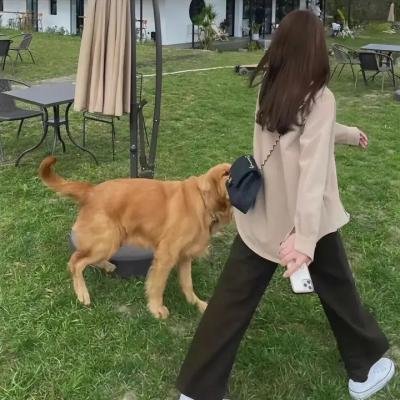爱情发芽中